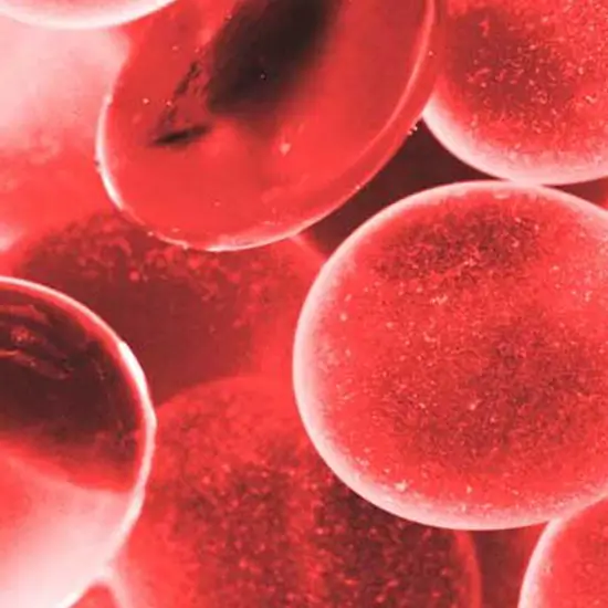 absolute monocyte count